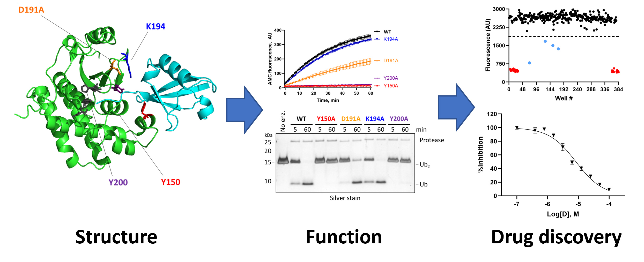 Microsporidia Research