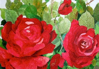 Two Red Roses by Jan Taylor