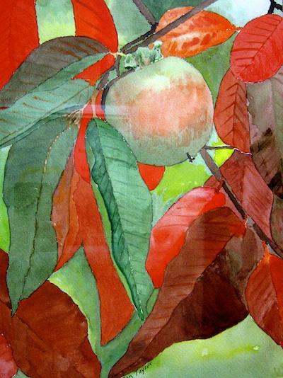 Persimmon 2 by Jan Taylor