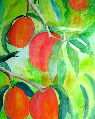 Fresh Peaches by Jan Taylor
