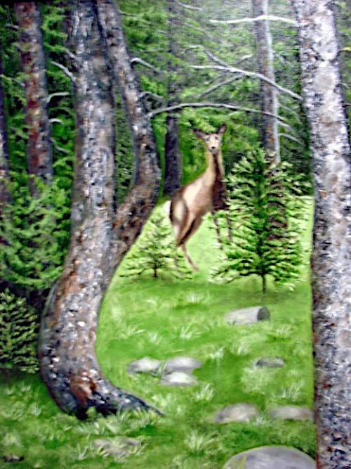 Deer in the Woods of Montana by Nancy Smith