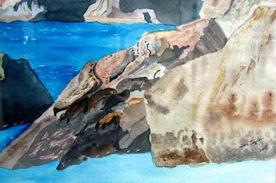 Seals on Rocks by Jan Taylor