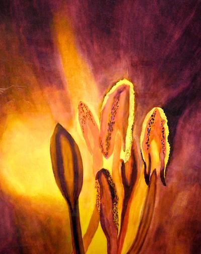 Day Lily Violet by Tom Hart