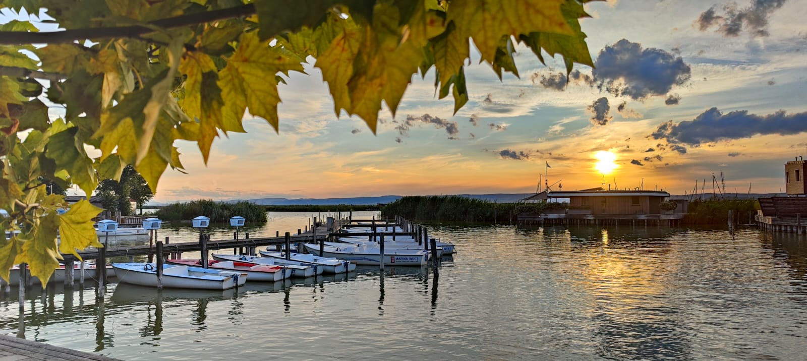 Lake Neusiedl