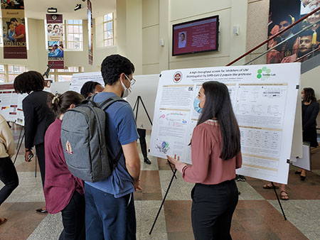 Female-presenting student with long grown hair and a pink sweater presents her research poster to a group of students.