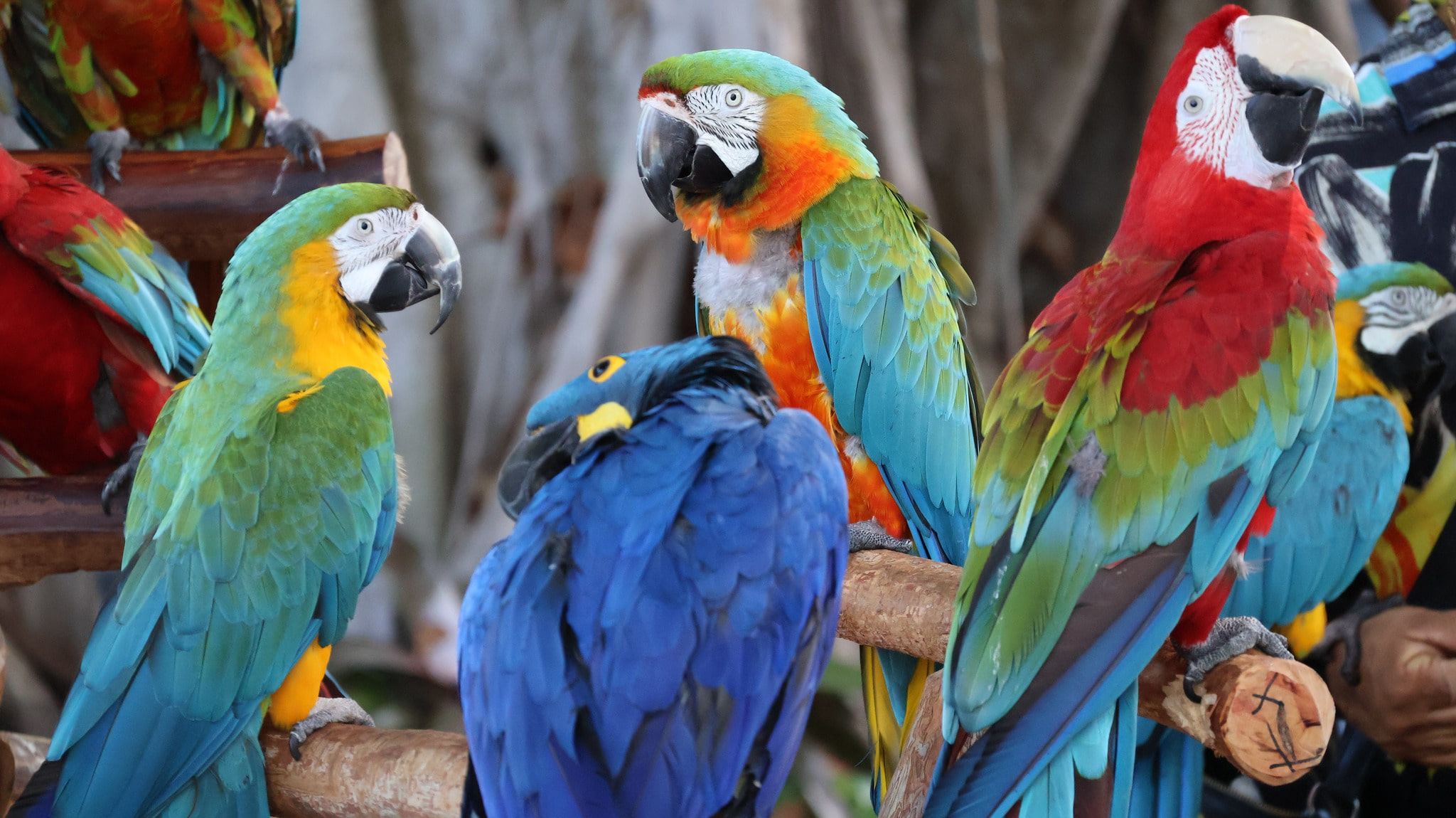 Bayside Market Place, Miami