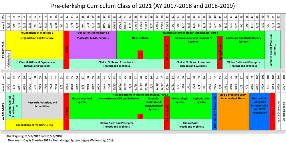 Curriculum Overview Class of 2021