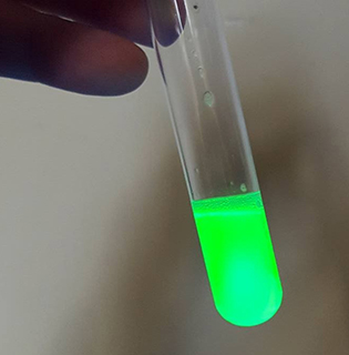 Hand holding a test tube with glowing green liquid