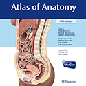 Book cover: Gilroy A, MacPherson B, Wikenheiser J, Schünke M, Schulte E, Schumacher U, Voll M, Wesker K, ed. Atlas of Anatomy. 5th Edition. New York: Thieme; 2025.