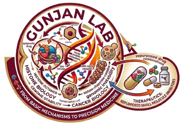 Gunjan lab logo