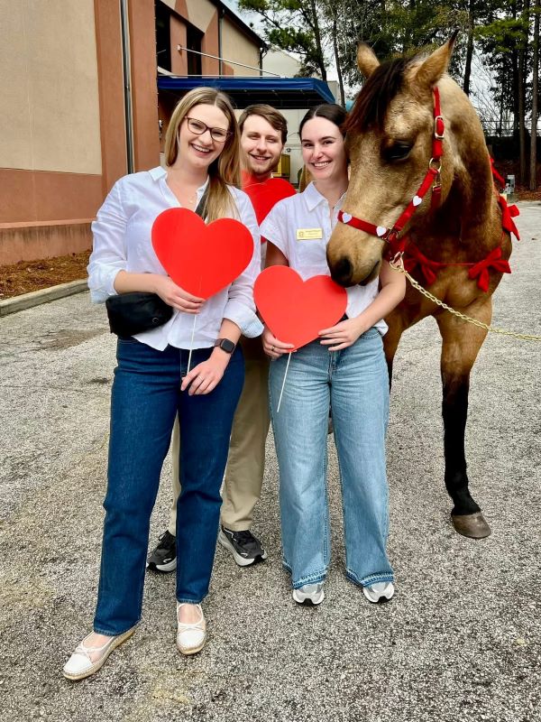 Students, Rachel Bielling, Tyler Odum, and Abigail Watson posing with a horse.