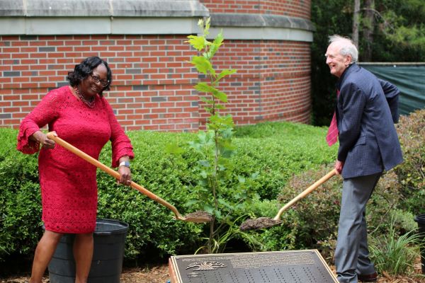 Dean Alma Littles and Dr. Bob Watson plant the sycamore sapling.