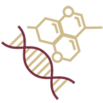 Stylized line drawing of a DNA strand and a molecule