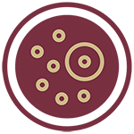 Stylized drawing of a cell
