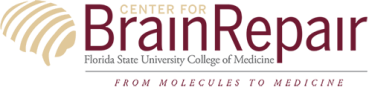 The brain repair center logo