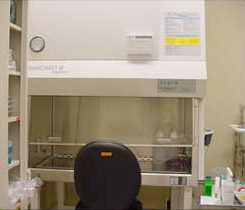 cell culture fume hood