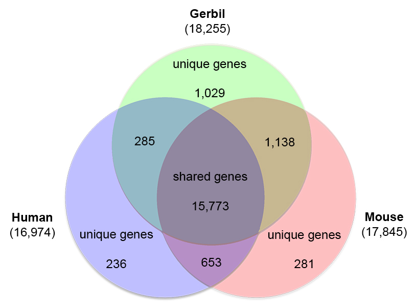 genome com