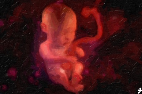 fetal