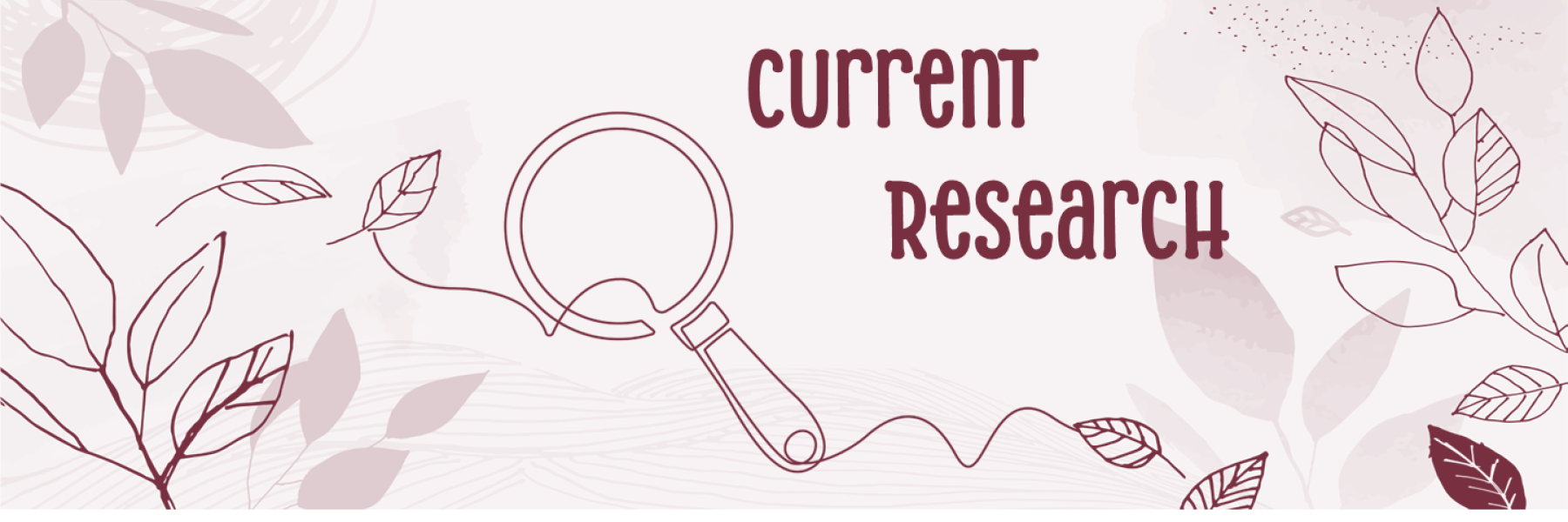 Current Research