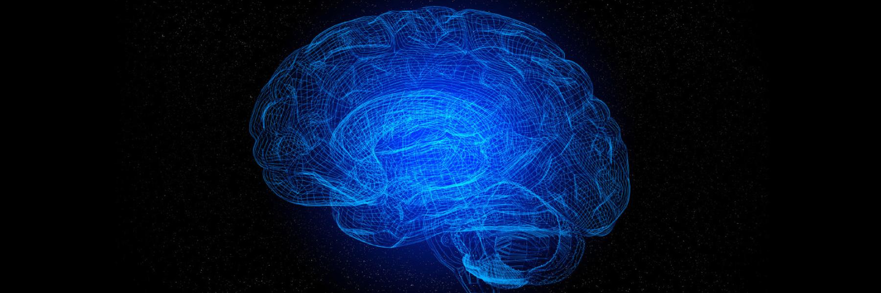Visual image of a human brain