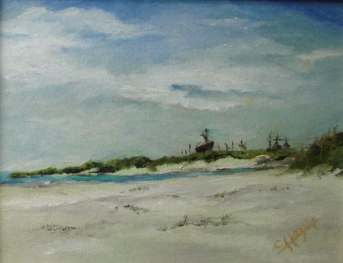 The Beach at Little Talbot Island by Charles Hazelip