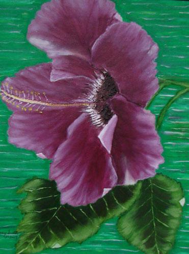 Hibiscus By Nancy Smith
