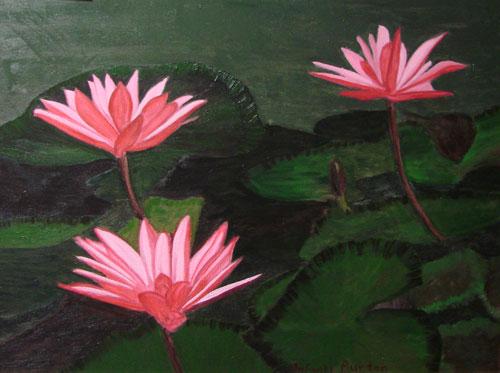 Pink Water Lily by Carmen Burton