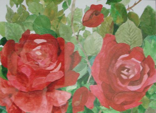 2 Red Roses by Jan Taylor
