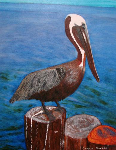 Pelican by Carmen Burton