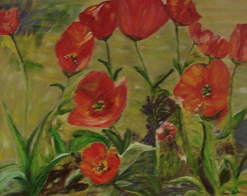 Poppies in Full Bloom by Nancy Smith