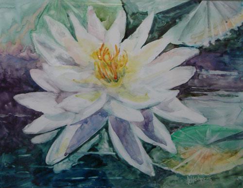 Water Lily by Nancy Johnson