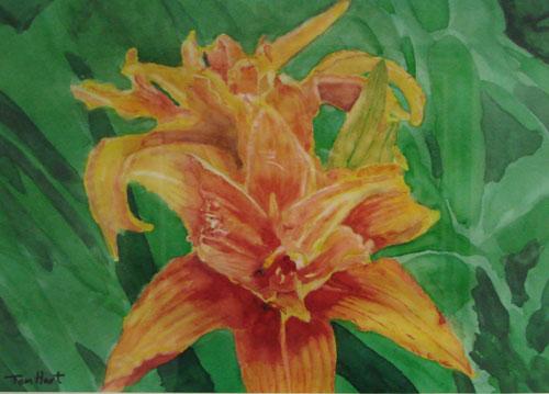 French Daylilies by Tom Hart