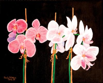 Orchids by Sandy DeLopez