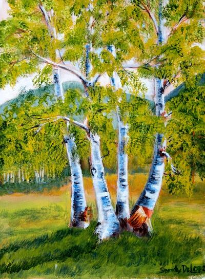 Birches by Sandy DeLopez