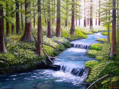 Redwood Forest Stream by Siroos Tamaddoni