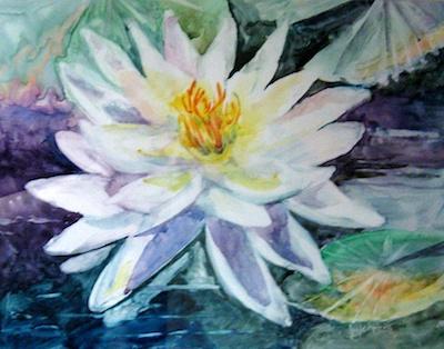 Water Lily by Nancy Juster Johnson
