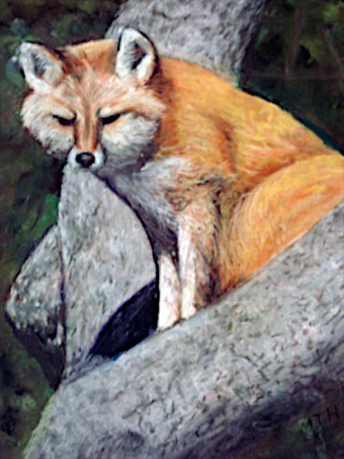 Fox Up a Tree by Margaret Hamilton