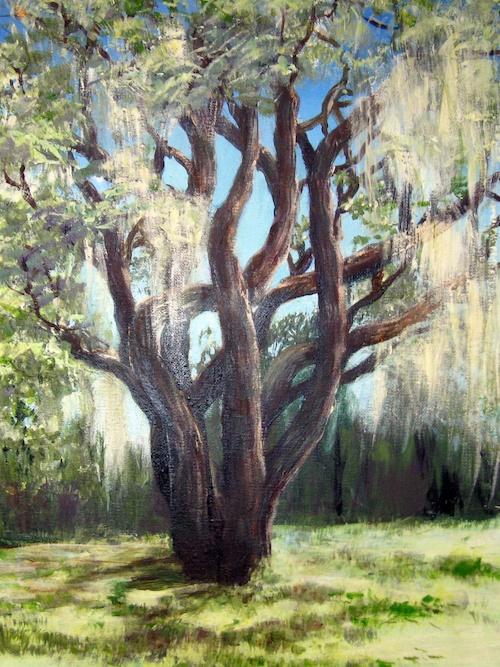 Livley Oak by Jeanne Alderson