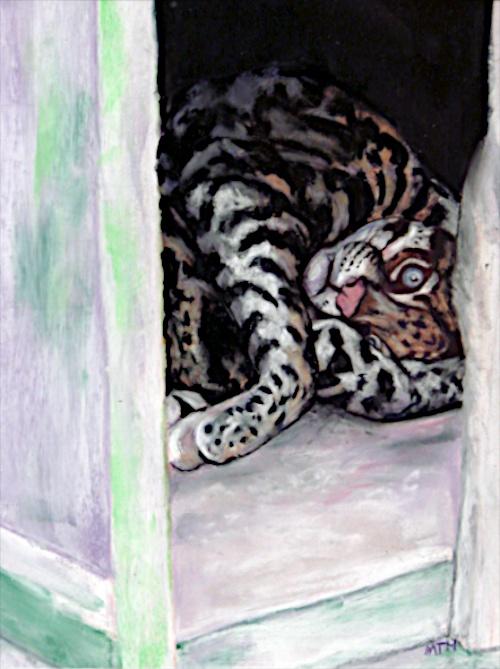 Cat in Captivity by Margaret Hamilton