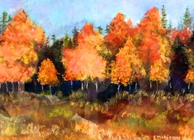 Fall Aspens in Colorado by Elsa McKinney