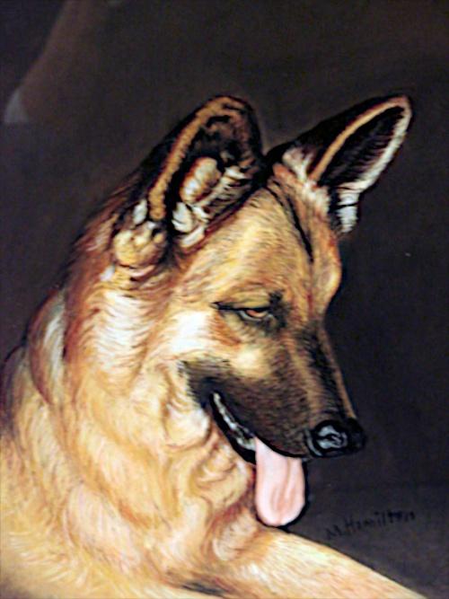 Roger's German Shepherd by Margaret Hamilton
