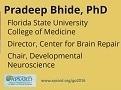 How Animal Studies speed the learning about the Genetics of ADHD