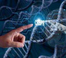 CRISPR