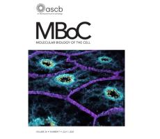 MBoC