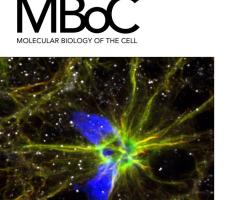 Molecular Biology of the Cell