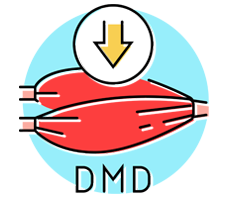 Duchenne Muscular Dystrophy