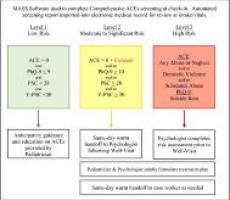  Comprehensive ACE Screening Protocol (ACEsPlus+)
