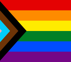 Rectangular Progress Pride Flag combining white, pink, aqua, black, and brown stripes in a nested triangle shape at left with a six-color rainbow stacked vertically at right.
