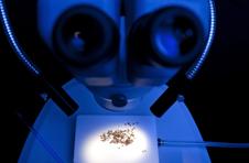 Graduate student wins award