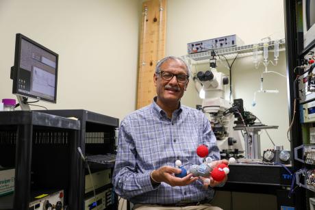 Professor Sanjay Kumar and model of D-serine